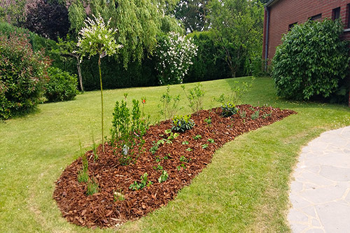 Parterre fleuri