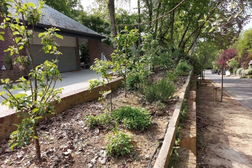 Permaculture