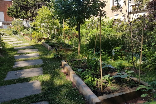 Permaculture