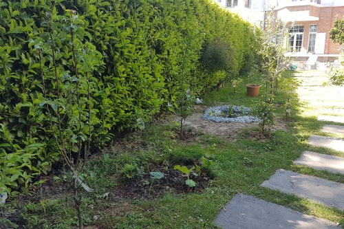 Permaculture