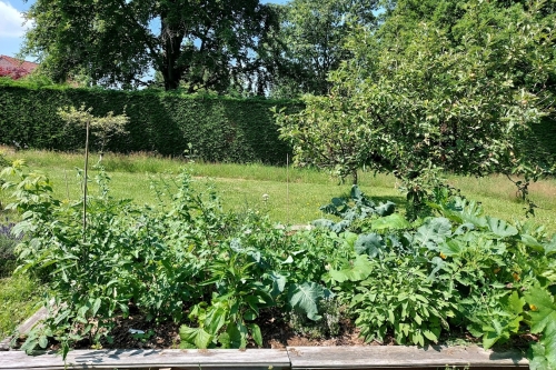 Permaculture