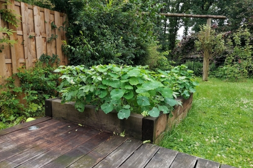 Permaculture
