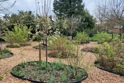 Remise en état d'un jardin