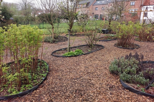 Remise en état d'un jardin