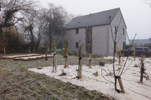 Remise en état d'un jardin