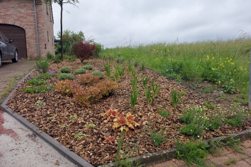 Remise en état d'un jardin