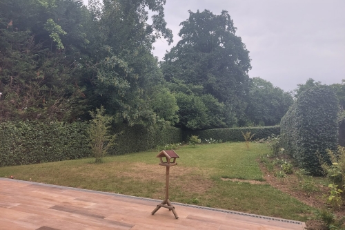 Taille de haies, arbustes et arbres fruitiers