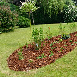 Parterres fleuris